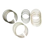 رینگ موتور نیسان وانت دیزل CYPR