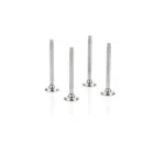 سوپاپ نیسان عظام